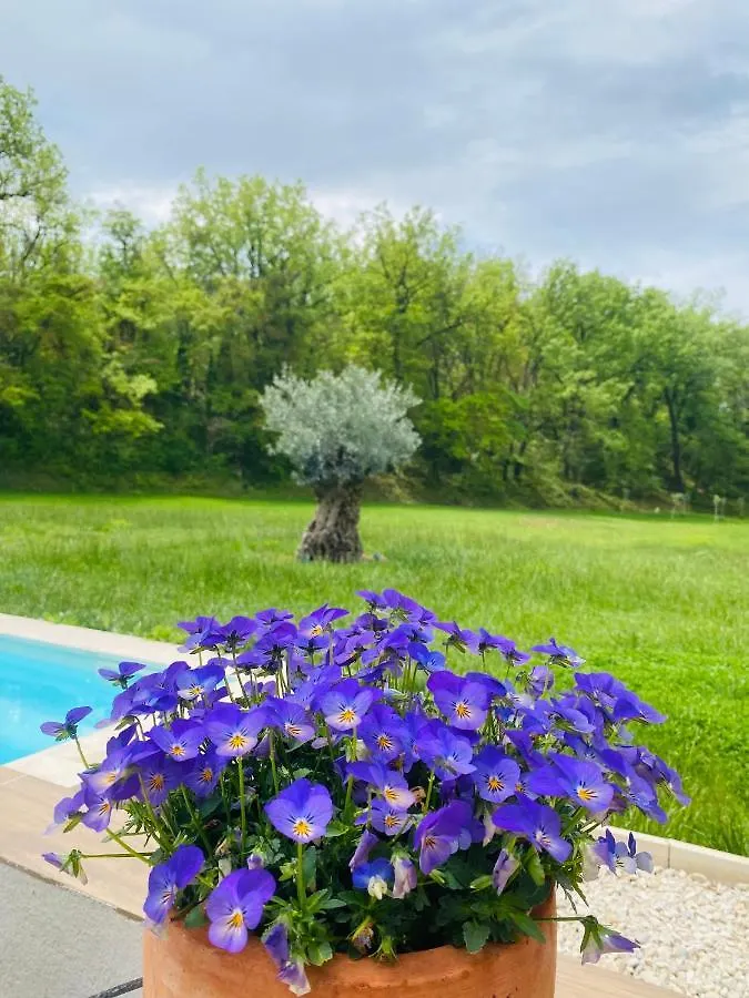 Villa Architecte Contemporaine Fuveau